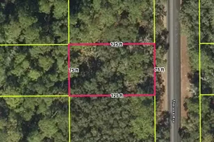 [Address not provided], Interlachen, FL 32148 - Photo 1