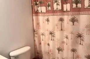 10049 Savannah Bluff Ln, Orlando, FL 32829 - Photo 5