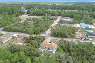 50 Malauka Pass Course, Ocklawaha, FL 32179 - Photo 41