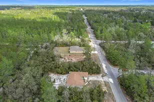 50 Malauka Pass Course, Ocklawaha, FL 32179 - Photo 37