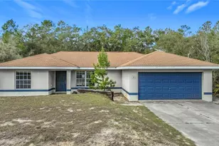 50 Malauka Pass Course, Ocklawaha, FL 32179 - Photo 1