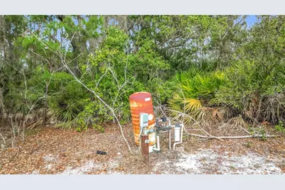 50 Malauka Pass Course, Ocklawaha, FL 32179 - Photo 31