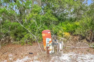 50 Malauka Pass Course, Ocklawaha, FL 32179 - Photo 31