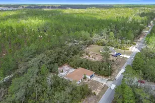 50 Malauka Pass Course, Ocklawaha, FL 32179 - Photo 35