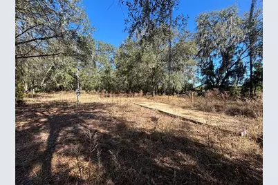 1077 NW Hamp Farmer Road, Lake City, FL 32055 - Photo 7