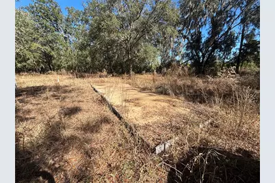 1077 NW Hamp Farmer Road, Lake City, FL 32055 - Photo 3