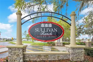 21714 Belgian Ct, Mount Dora, FL 32757 - Photo 23