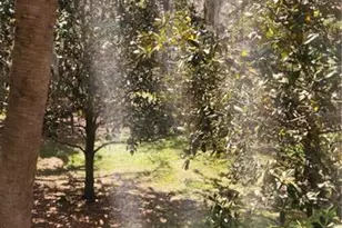 709 Secret Harbor Ln, Lake Mary, FL 32746 - Photo 11