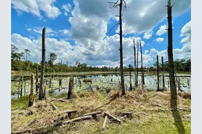 349 Seminole Woods Blvd, Geneva, FL 32732 - Photo 19