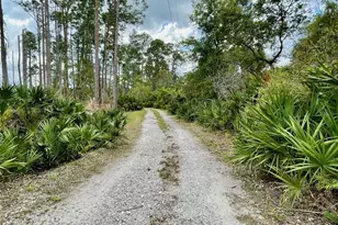 349 Seminole Woods Blvd, Geneva, FL 32732 - Photo 41