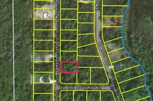 Malauka Pass Course, Ocklawaha, FL 32179 - Photo 1