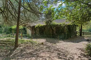 6950 SE Hwy 41, Morriston, FL 32668 - Photo 7