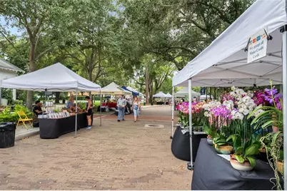 812 East Boulevard, Windermere, FL 34786 - Photo 71