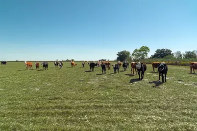 1200 Arbuckle Branch Road, Sebring, FL 33870 - Photo 27