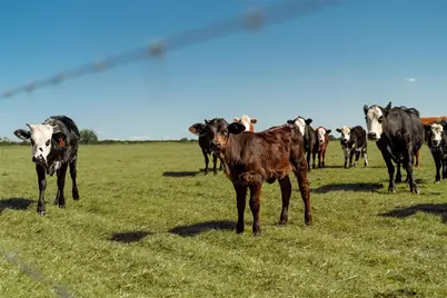 1200 Arbuckle Branch Road, Sebring, FL 33870 - Photo 21