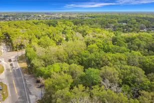 31427 Ghent Ave, Mount Plymouth, FL 32776 - Photo 37