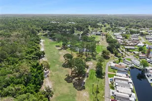 511 Flamingo Ln, Osteen, FL 32764 - Photo 23