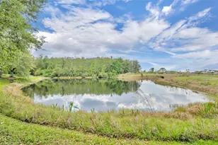 1656 Anna Catherine Dr, Orlando, FL 32828 - Photo 31