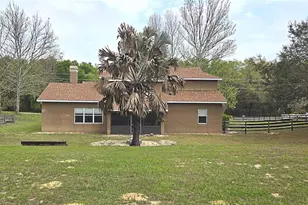 4307 Britt Rd, Mount Dora, FL 32757 - Photo 87