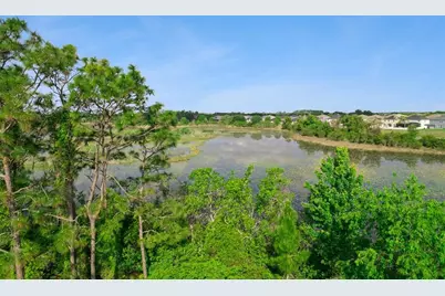 3880 Fescue Street, Clermont, FL 34714 - Photo 9