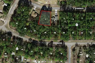 3386 W Talinum Pl, Citrus Springs, FL 34433 - Photo 1