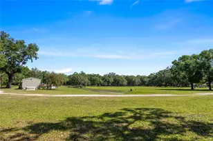 11902 Cr 727, Webster, FL 33597 - Photo 21
