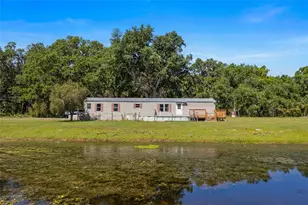 11902 Cr 727, Webster, FL 33597 - Photo 3