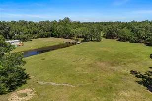 11902 Cr 727, Webster, FL 33597 - Photo 17