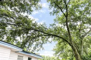 835 27th St NW, Winter Haven, FL 33881 - Photo 5