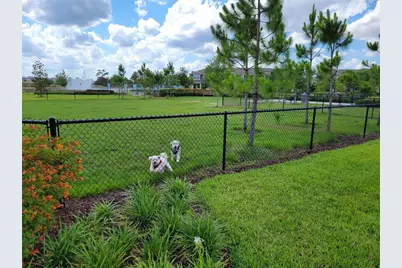 10679 Atwater Bay Drive, Winter Garden, FL 34787 - Photo 53