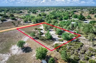 523 S Dickey Rd, Avon Park, FL 33825 - Photo 3