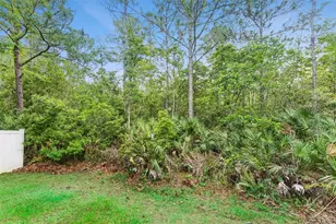 2319 Carnation Hill Ct, Orlando, FL 32820 - Photo 47