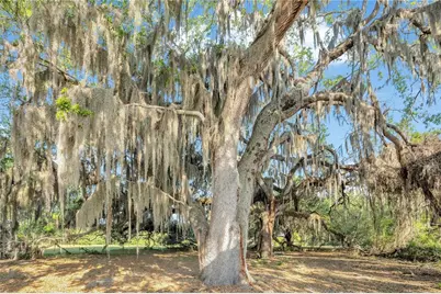 4610 Oak Cove Lane, Orlando, FL 32806 - Photo 63