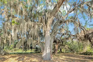 4610 Oak Cove Ln, Orlando, FL 32806 - Photo 63