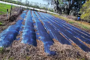 23100 SE Hwy 42, Umatilla, FL 32784 - Photo 75