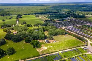 23100 SE Hwy 42, Umatilla, FL 32784 - Photo 83