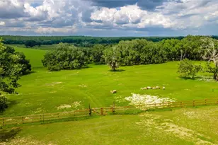 23100 SE Hwy 42, Umatilla, FL 32784 - Photo 79