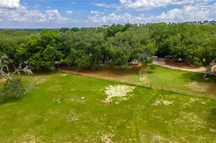 23100 SE Hwy 42, Umatilla, FL 32784 - Photo 67