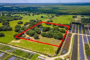 23100 SE Hwy 42, Umatilla, FL 32784 - Photo 85