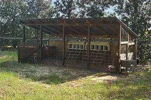 23100 SE Hwy 42, Umatilla, FL 32784 - Photo 75
