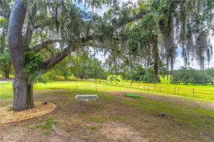 23100 SE Hwy 42, Umatilla, FL 32784 - Photo 11