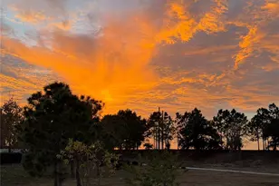 6154 Hamlin Reserve Blvd, Winter Garden, FL 34787 - Photo 61