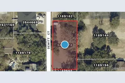 Dewitt Court, Eustis, FL 32726 - Photo 1