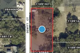 Dewitt Ct, Eustis, FL 32726 - Photo 1