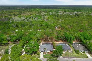 2305 Park Village Pl, Apopka, FL 32712 - Photo 3