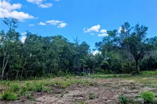 20881 SE 142nd Pl, Umatilla, FL 32784 - Photo 23