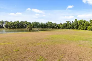 2748 Palastro Way, Ocoee, FL 34761 - Photo 49