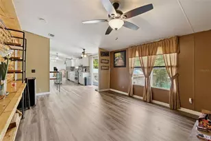 33601 Tammy Ln, Wesley Chapel, FL 33543 - Photo 23