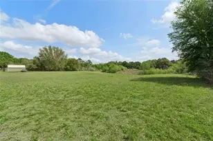 33601 Tammy Ln, Wesley Chapel, FL 33543 - Photo 33