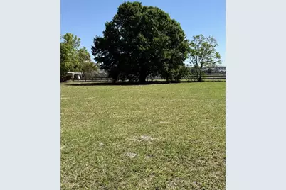 13125 Filly Court, Windermere, FL 34786 - Photo 5